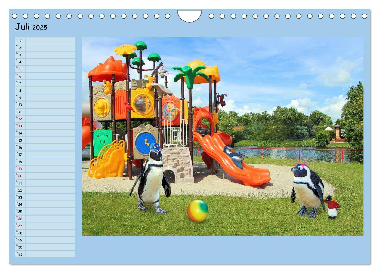 Bild: 9783435313877 | Pinguine privat Planer (Wandkalender 2025 DIN A4 quer), CALVENDO...