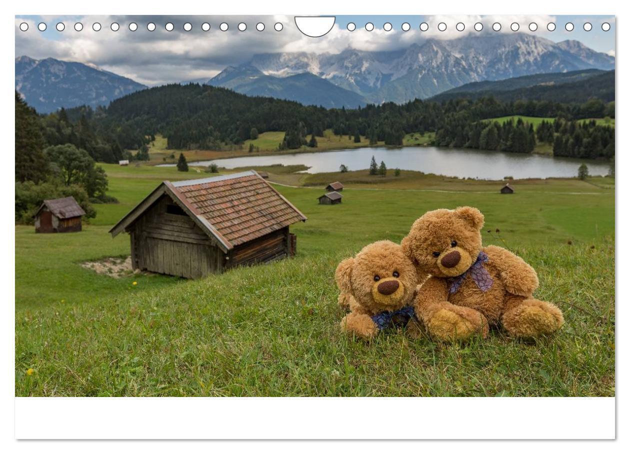 Bild: 9783435503414 | Travelling Teddy 2025 (Wandkalender 2025 DIN A4 quer), CALVENDO...