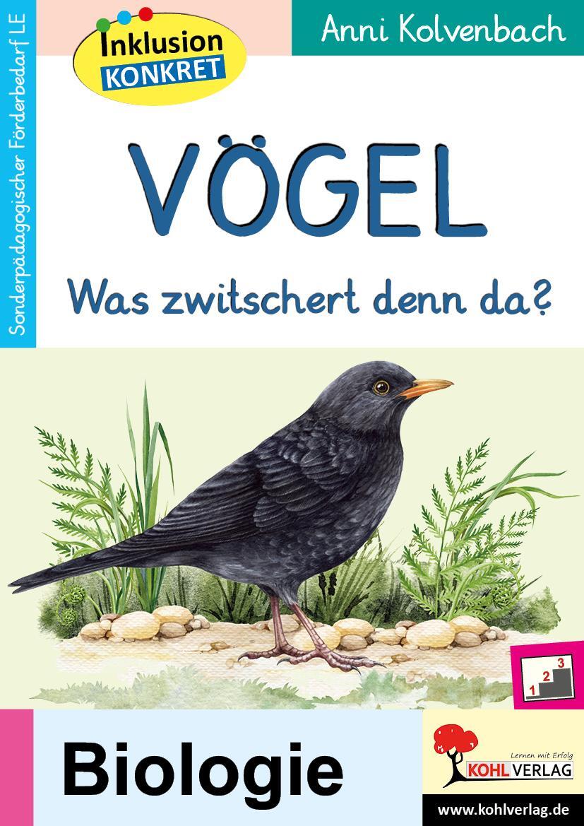 Cover: 9783988410344 | Vögel | Was zwitschert denn da? | Anni Kolvenbach | Taschenbuch | 2023