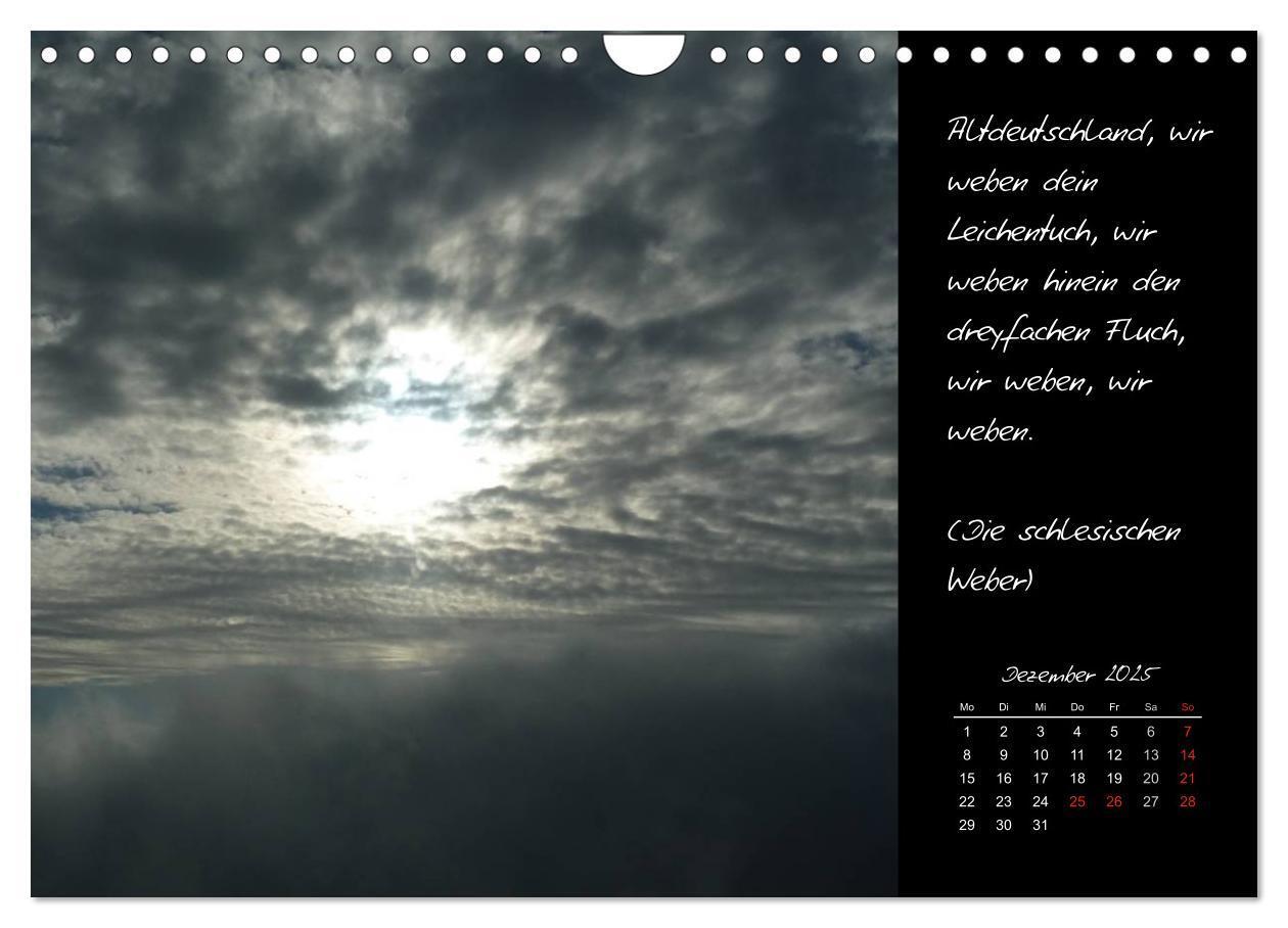 Bild: 9783435842582 | Heine-Kalender Kalender (Wandkalender 2025 DIN A4 quer), CALVENDO...