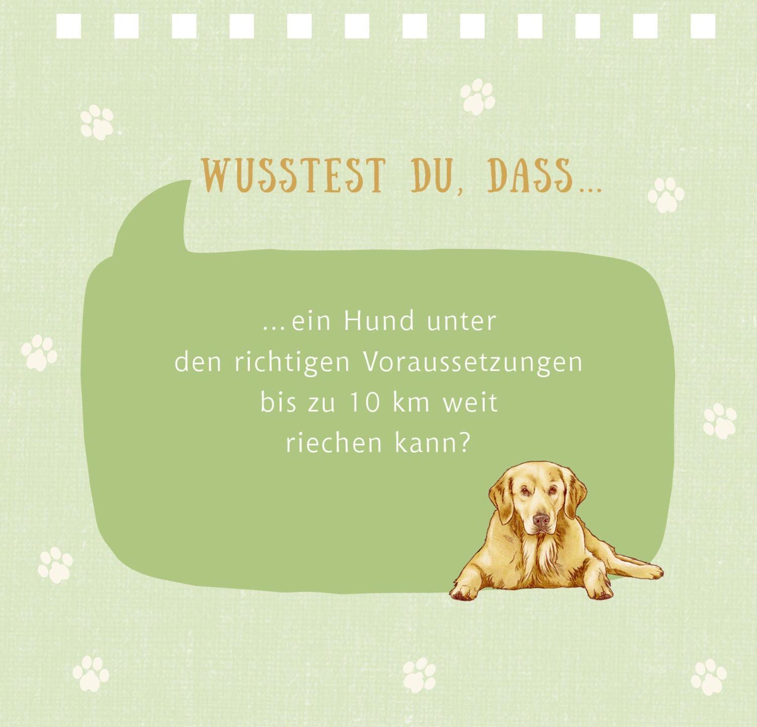 Bild: 9783649646044 | Tierisch beste Freunde | Julia Gerigk | Taschenbuch | 144 S. | Deutsch