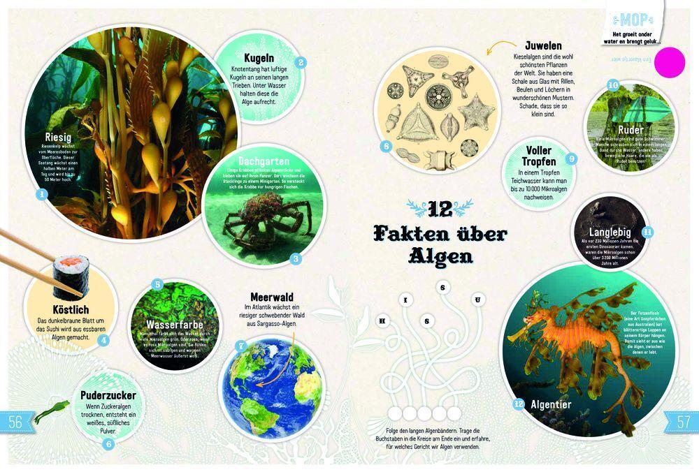 Bild: 9783959392198 | UNTER WASSER | Entdecken Verstehen Mitmachen | Roots | Buch | 72 S.