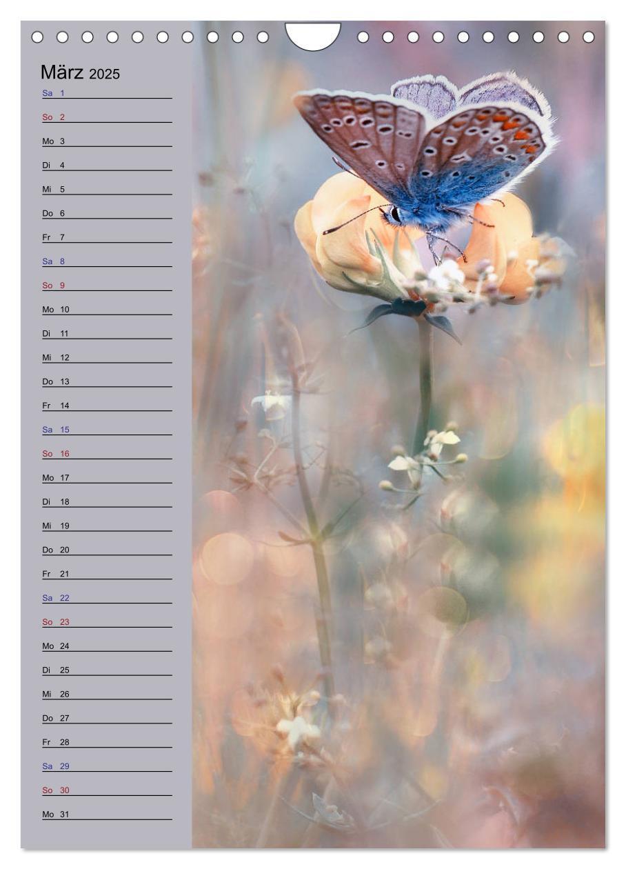 Bild: 9783435936199 | Pastell-Zauber (Wandkalender 2025 DIN A4 hoch), CALVENDO...