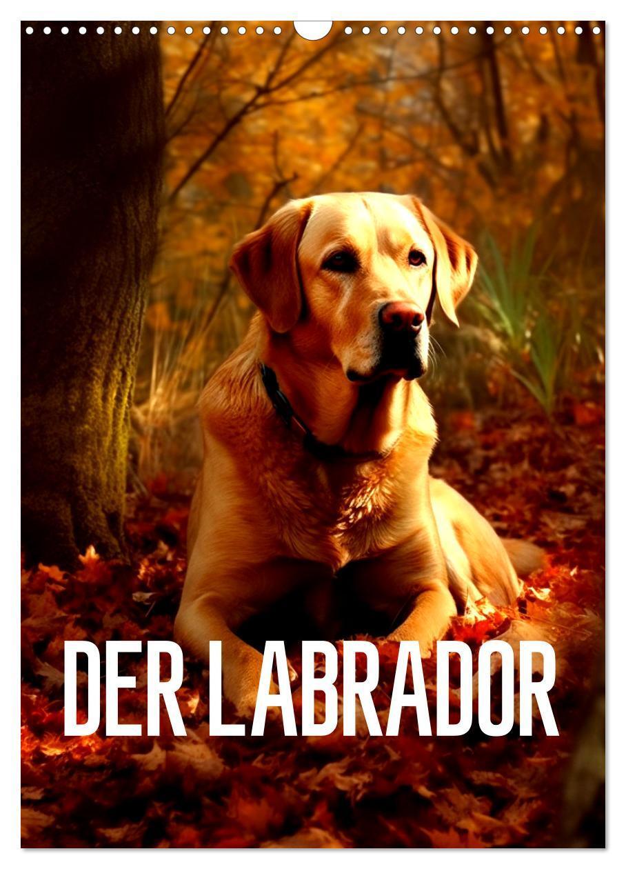 Cover: 9783435876891 | Der Labrador (Wandkalender 2025 DIN A3 hoch), CALVENDO Monatskalender