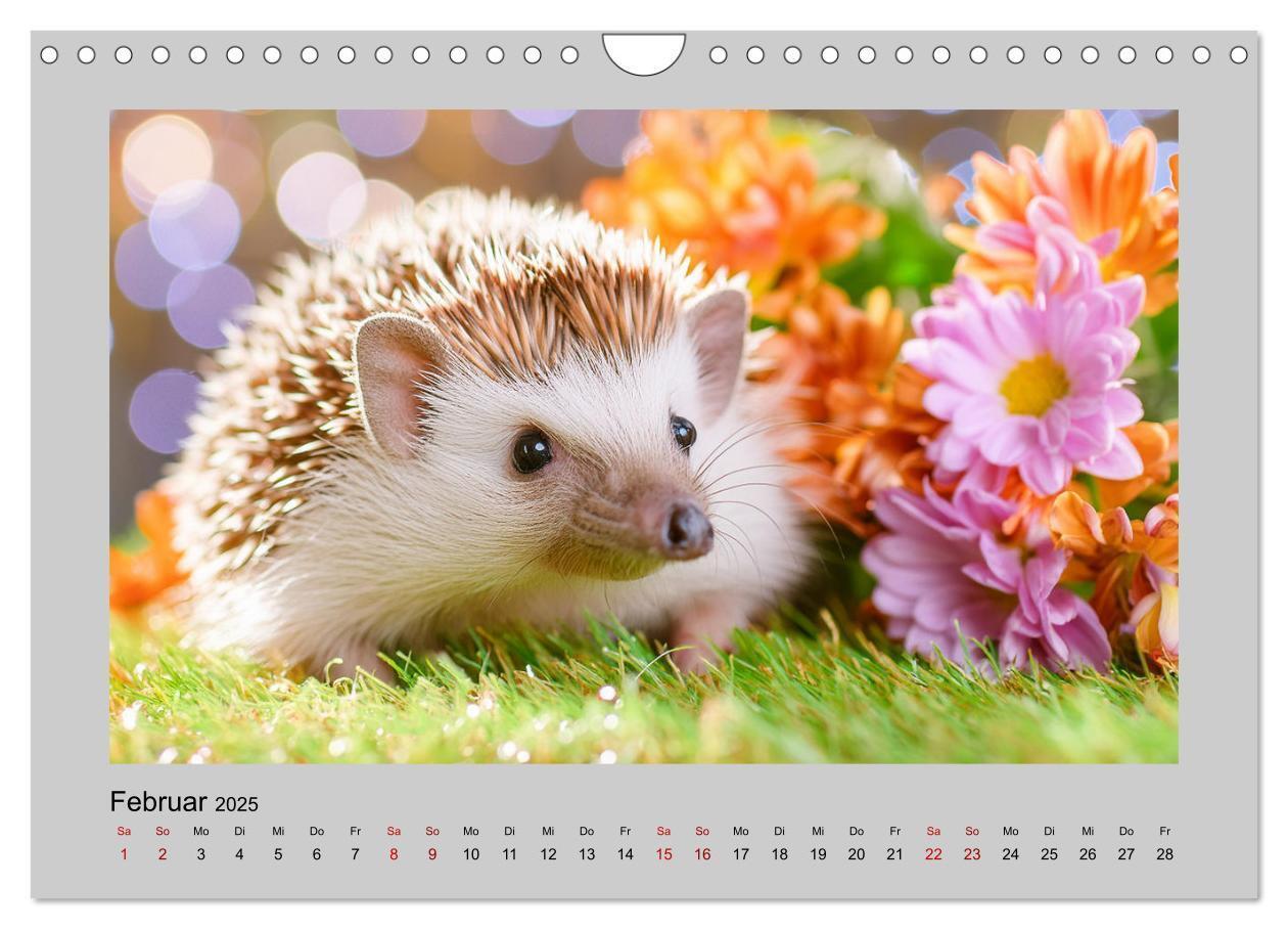 Bild: 9783435504527 | Mein Igel-Kalender (Wandkalender 2025 DIN A4 quer), CALVENDO...