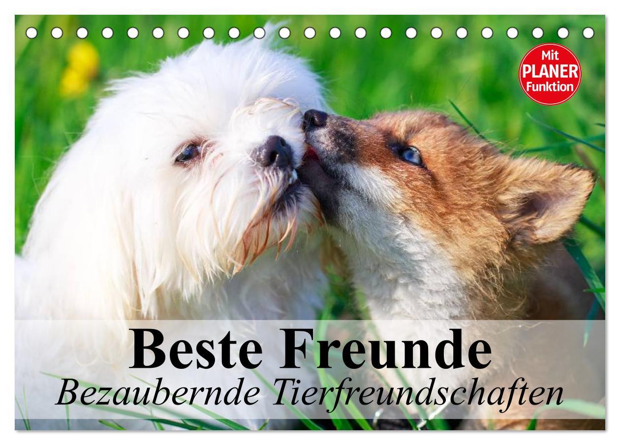 Cover: 9783435514342 | Beste Freunde. Bezaubernde Tierfreundschaften (Tischkalender 2025...