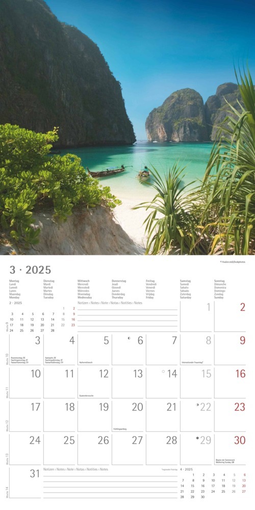 Bild: 4251732340872 | Alpha Edition - Summer Dreams 2025 Broschürenkalender, 30x30cm,...