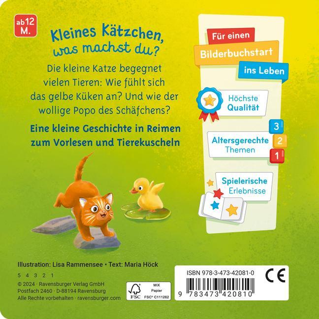 Bild: 9783473420810 | Mein liebstes Vorlese-Fühlbuch: Die kleine Katze | Maria Höck | Buch