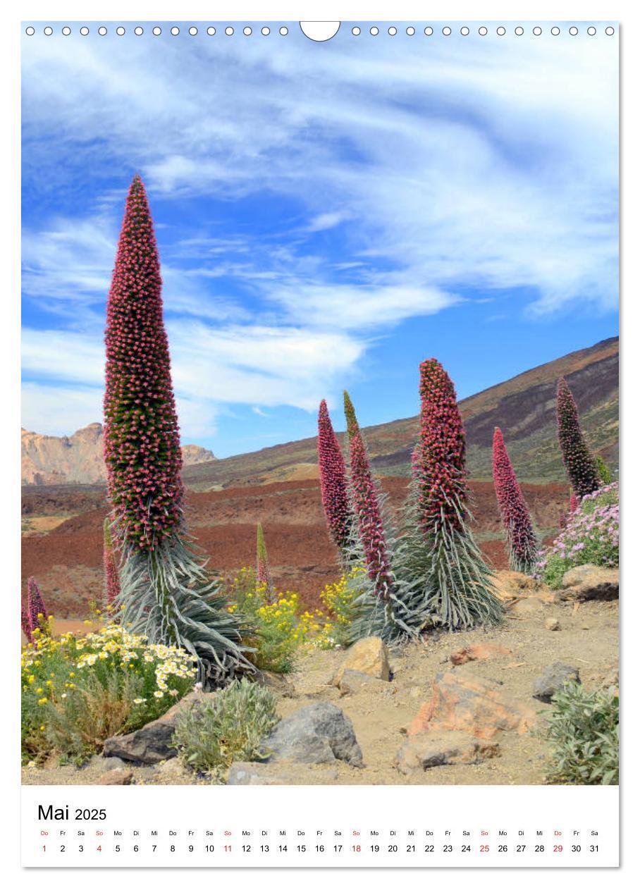 Bild: 9783457011522 | Teneriffa - Insel der Glückseligen (Wandkalender 2025 DIN A3 hoch),...