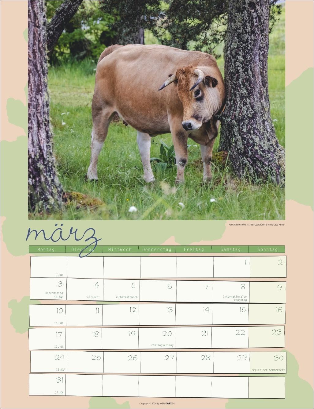 Bild: 9783839900734 | Kuh Kalender 2025 | Kalender | Spiralbindung | 14 S. | Deutsch | 2025