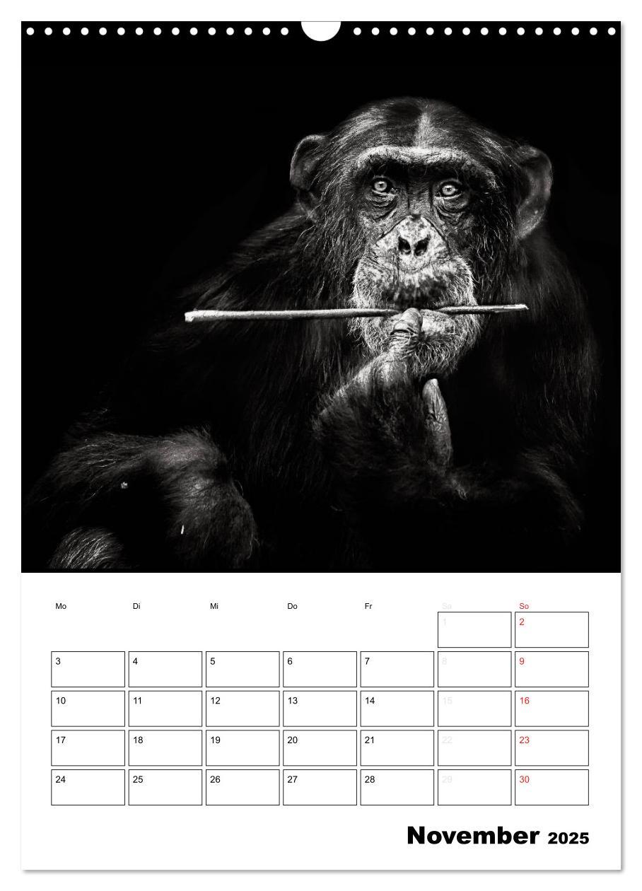 Bild: 9783457013199 | Charakterköpfe aus der Welt der Tiere (Wandkalender 2025 DIN A3...