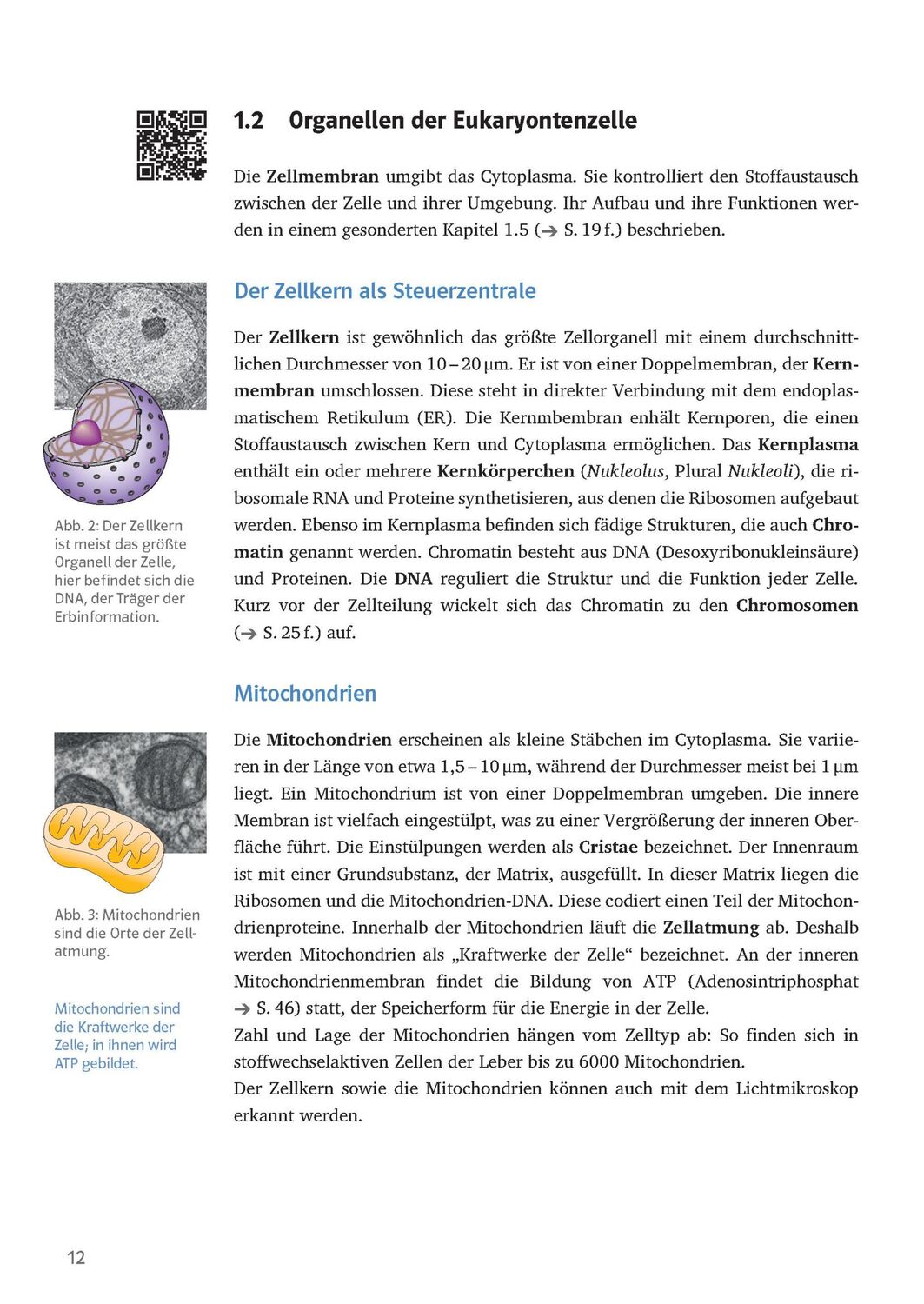 Bild: 9783129496725 | Sicher im Abi Oberstufen-Wissen Biologie | Komplett und ausführlich