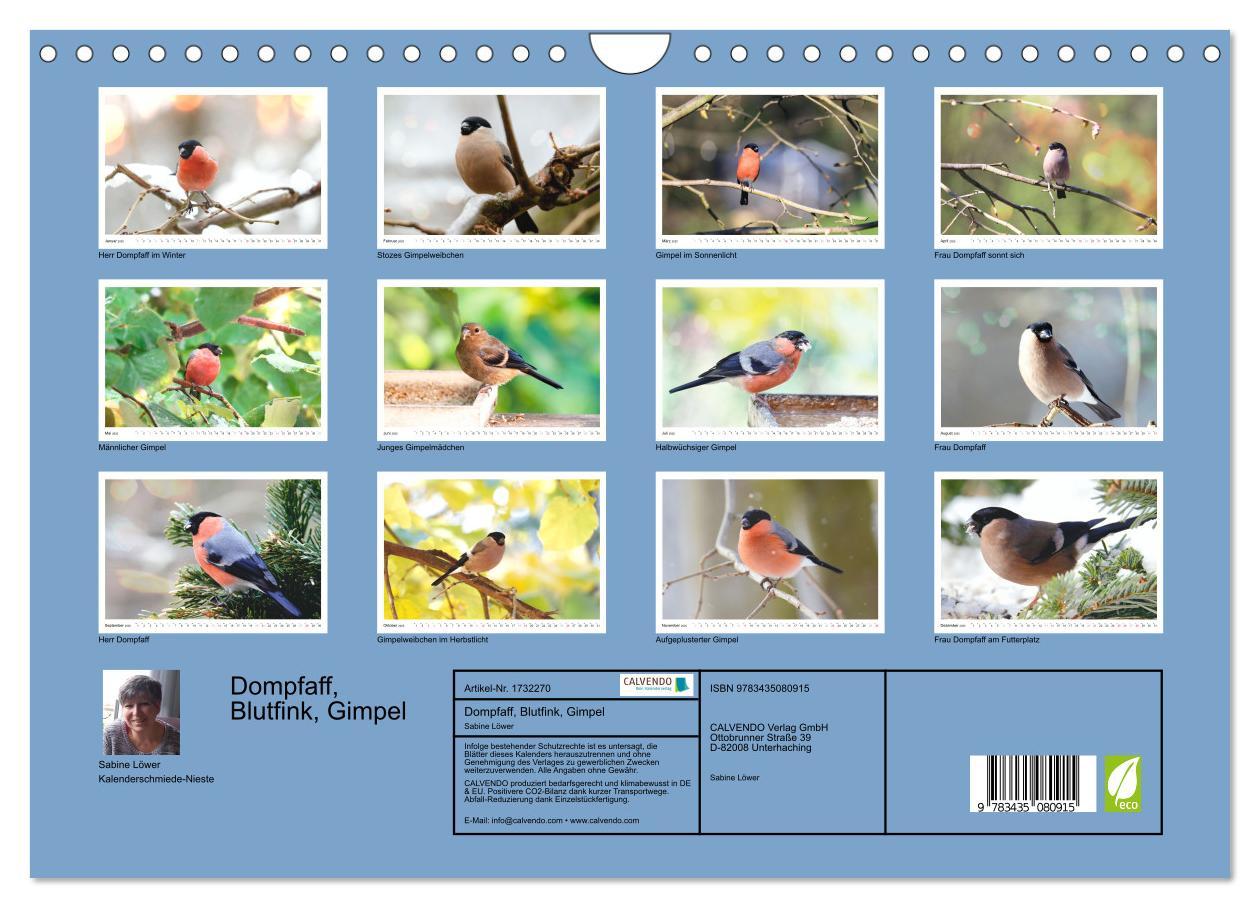 Bild: 9783435080915 | Dompfaff, Blutfink, Gimpel (Wandkalender 2025 DIN A4 quer),...