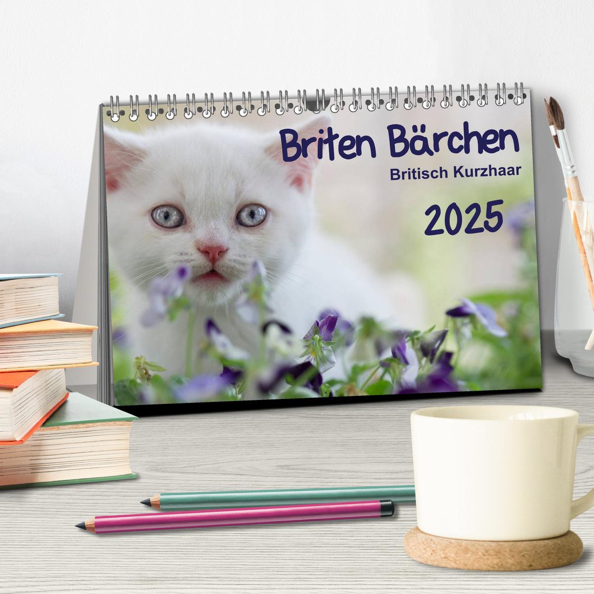 Bild: 9783435723386 | Briten Bärchen ¿ Britsch Kurzhaar 2025 (Tischkalender 2025 DIN A5...