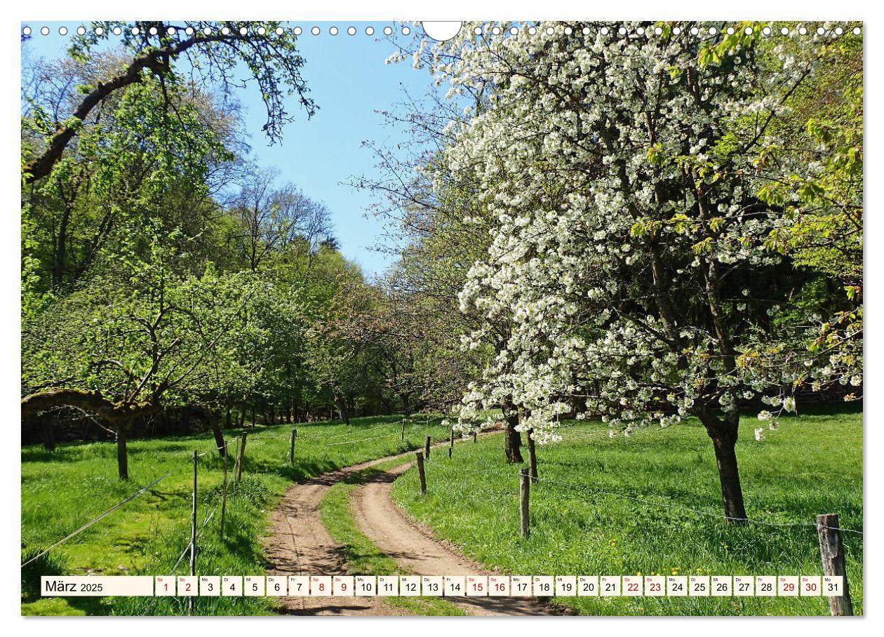 Bild: 9783435222315 | Viele Wege - ein Ziel Wandern im Odenwald (Wandkalender 2025 DIN A3...