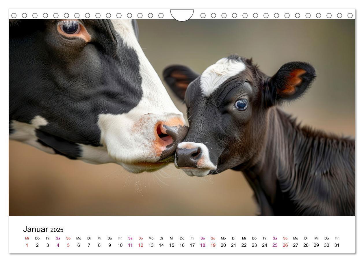 Bild: 9783457162705 | Holsteiner Schönheiten (Wandkalender 2025 DIN A4 quer), CALVENDO...