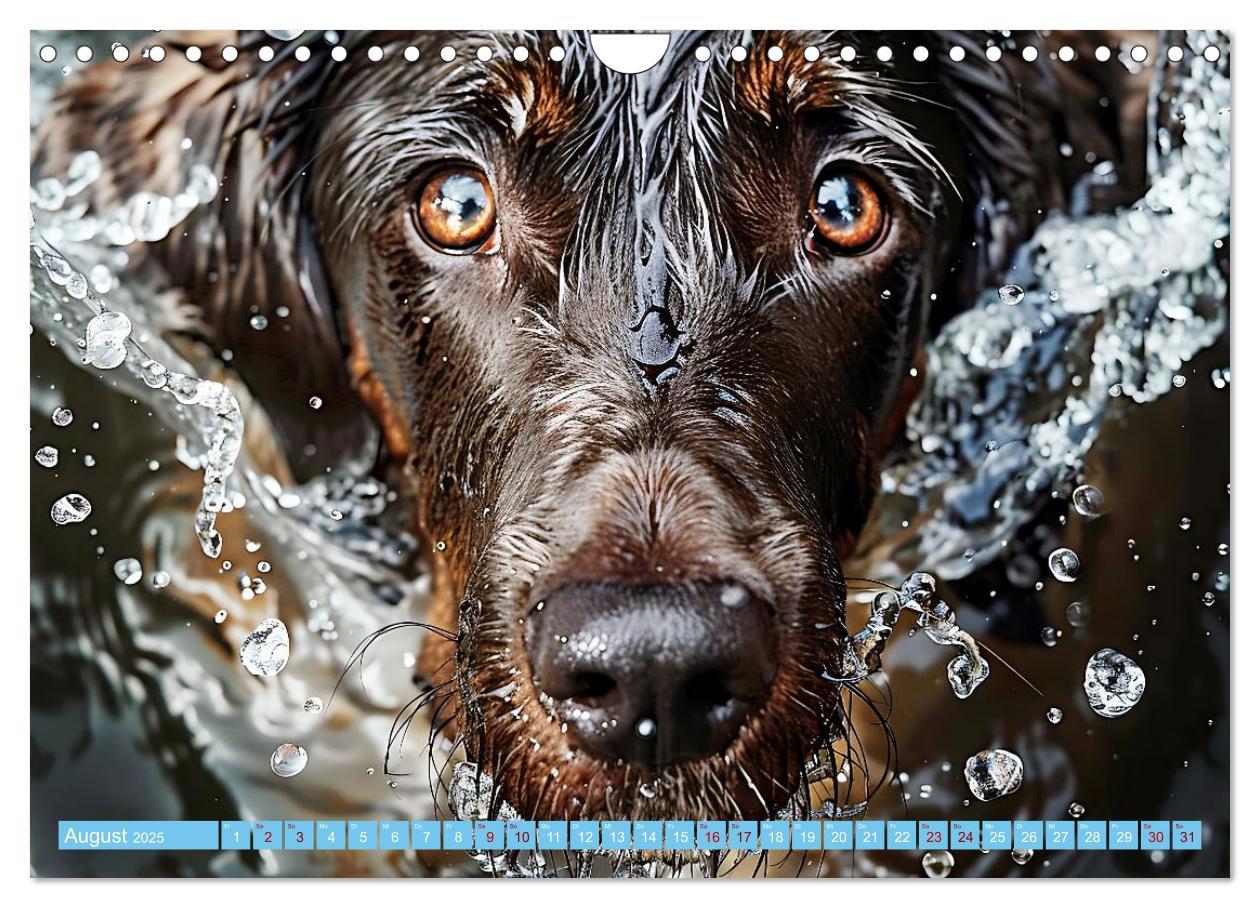 Bild: 9783457129227 | Hunde und Wasser (Wandkalender 2025 DIN A4 quer), CALVENDO...