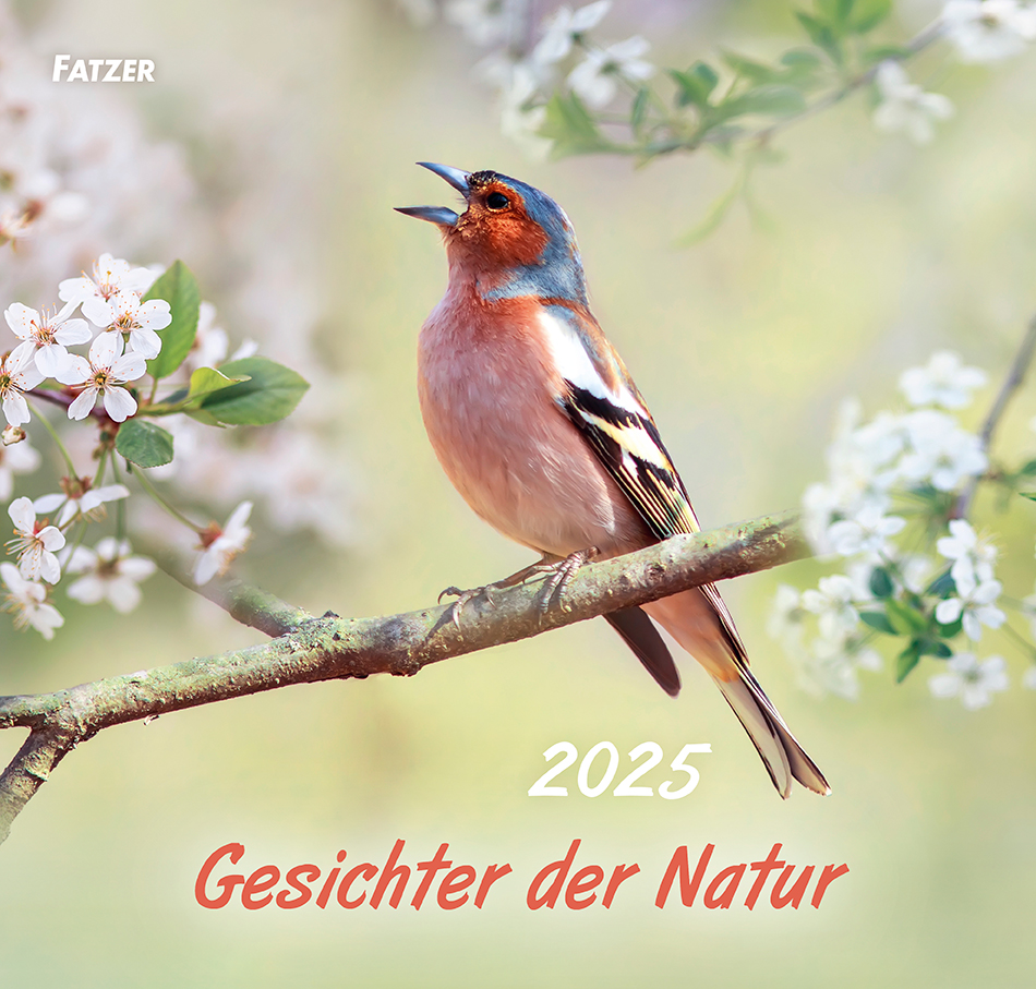 Cover: 9783866037960 | Gesichter der Natur 2025 | Kalender | 13 S. | Deutsch | 2025