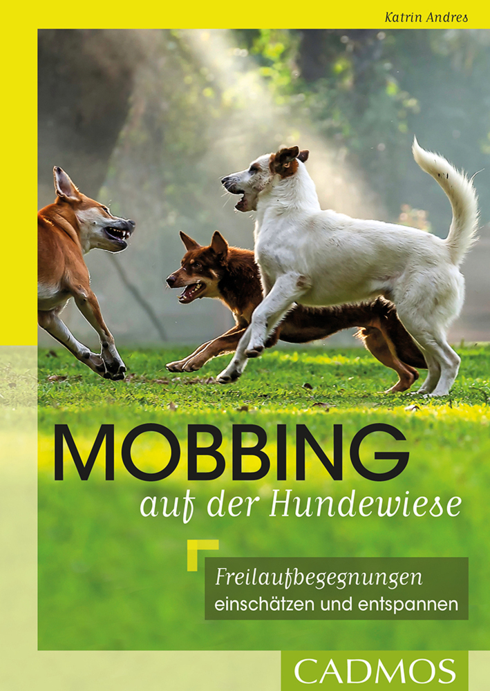 Cover: 9783840420719 | Mobbing auf der Hundewiese | Katrin Andres | Taschenbuch | 128 S.