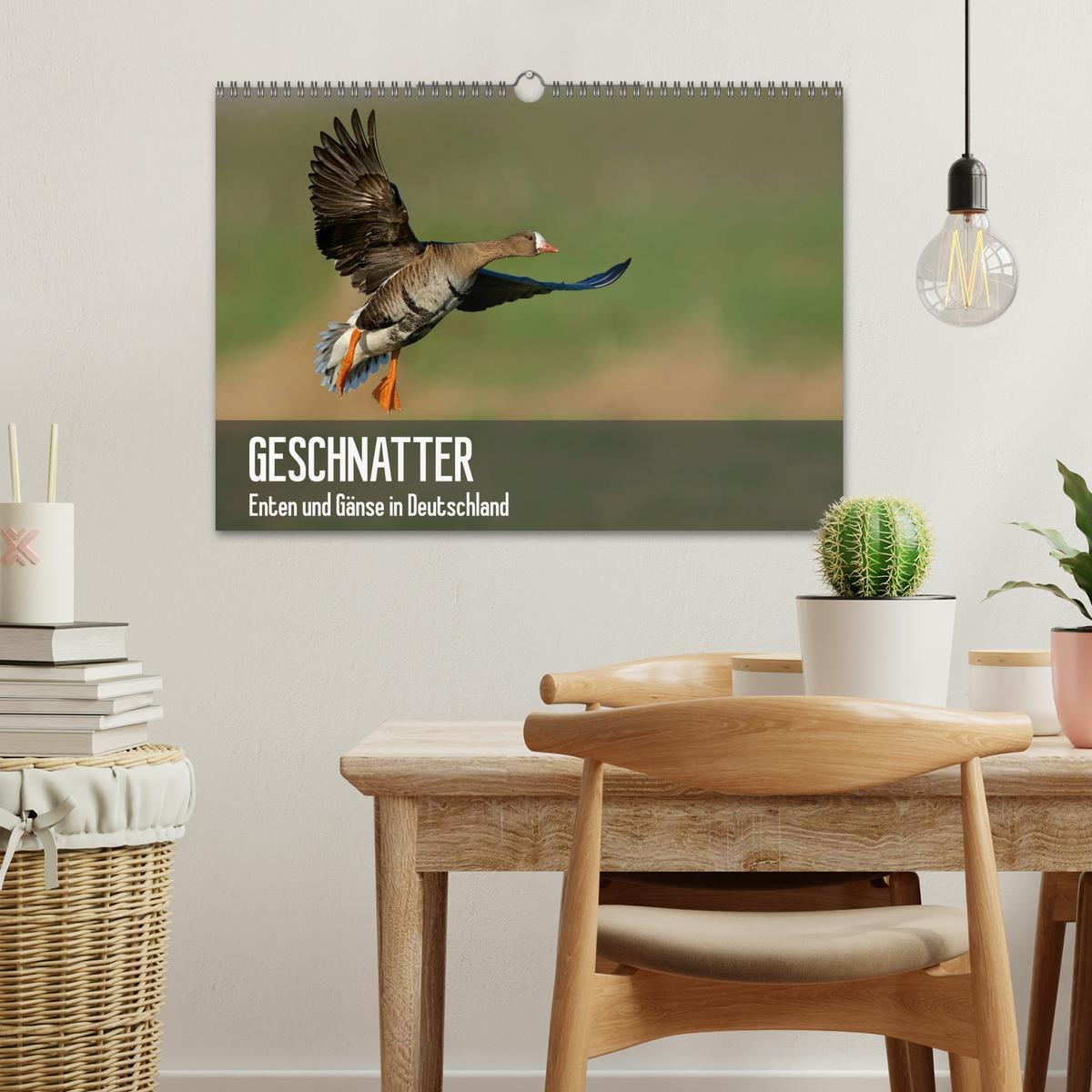 Bild: 9783435636105 | Geschnatter - Enten und Gänse in Deutschland (Wandkalender 2025 DIN...