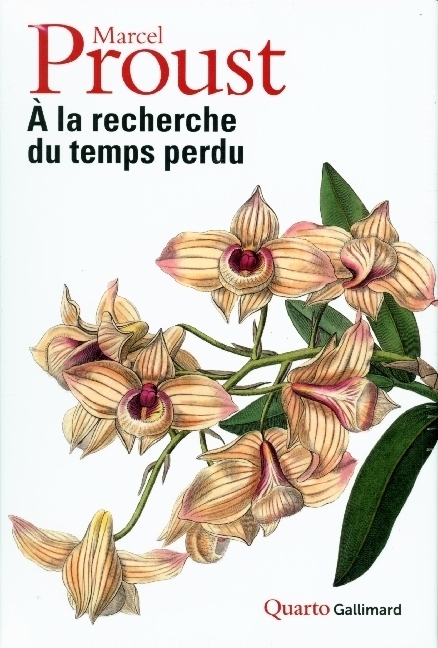 Cover: 9782072876042 | A la recherche du temps perdu | Marcel Proust | Taschenbuch | 2021