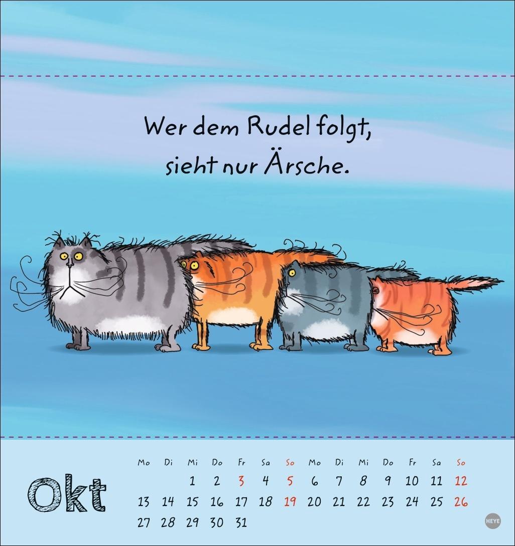 Bild: 9783756406951 | Catzz Postkartenkalender 2025 | Kalender | Postkartenkalender Heye