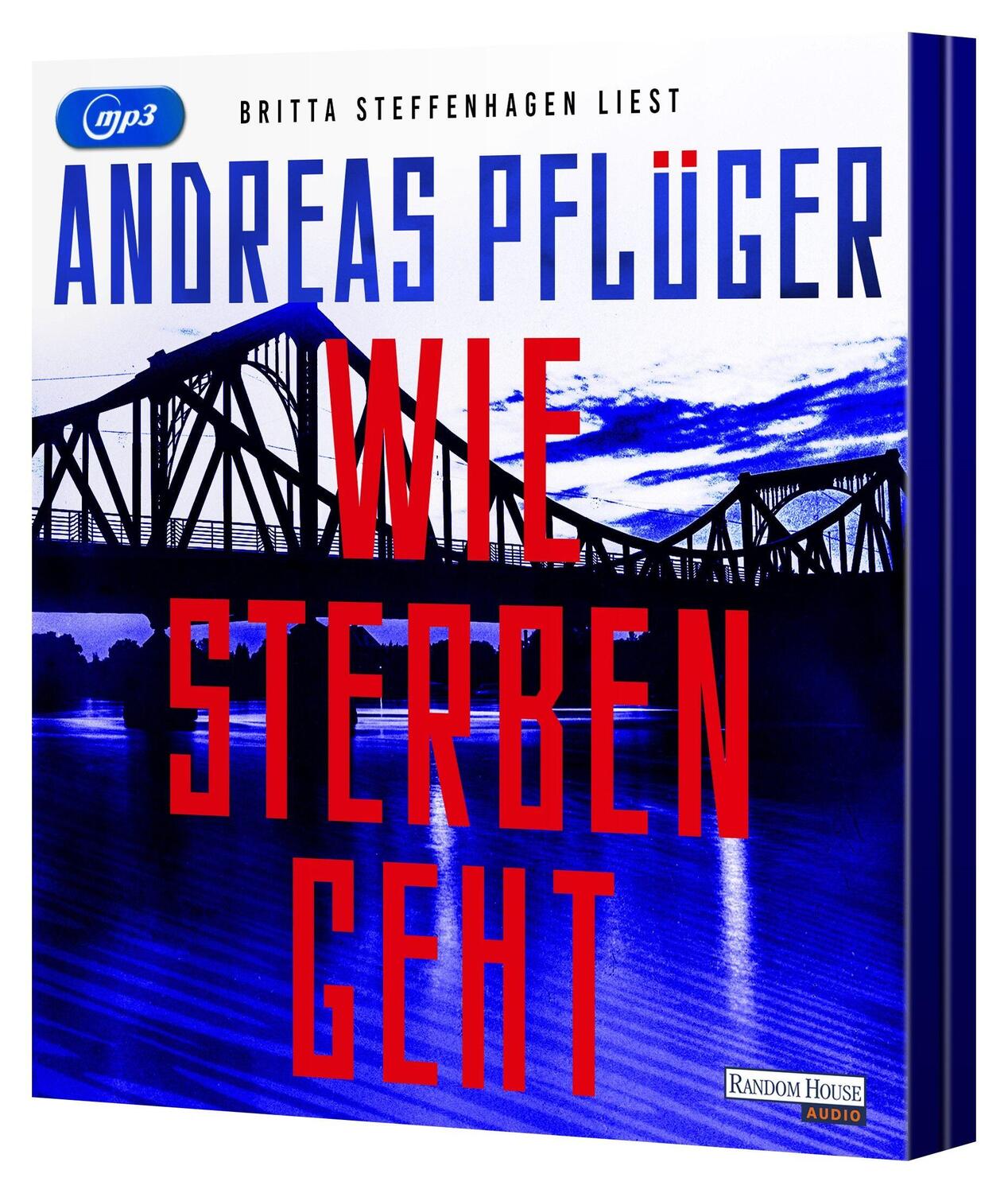 Bild: 9783837165678 | Wie Sterben geht | Andreas Pflüger | MP3 | 2 Audio-CDs | Deutsch