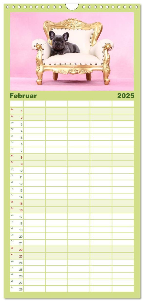 Bild: 9783457111284 | Familienplaner 2025 - Der Bully - Kalender Familienplaner hoch mit...