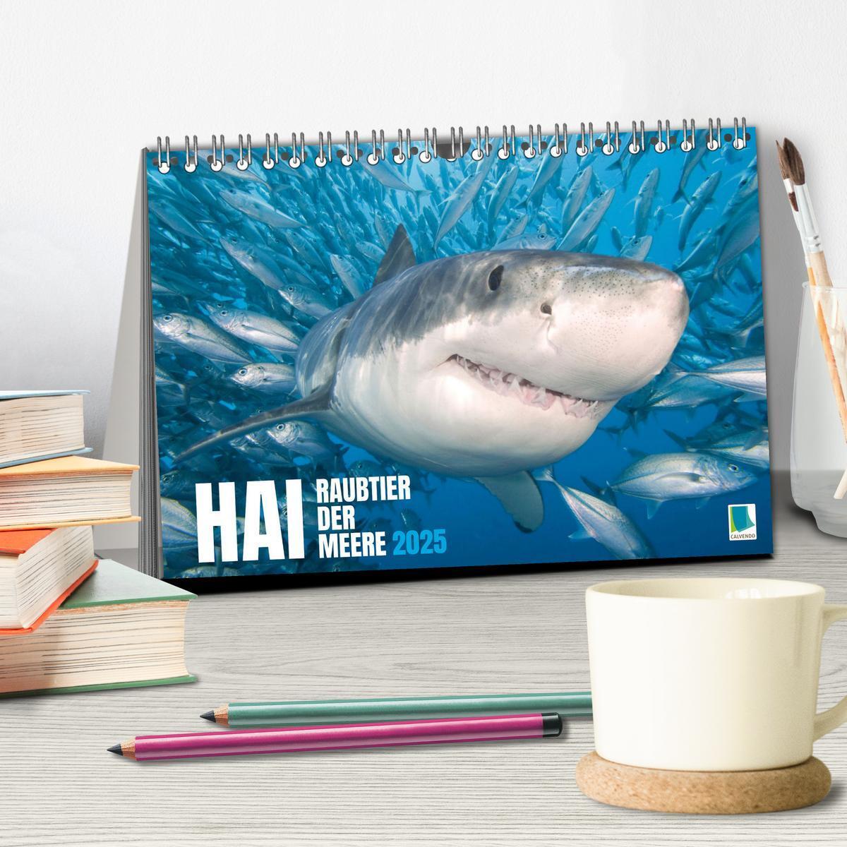 Bild: 9783383791826 | Hai: Raubtier der Meere (Tischkalender 2025 DIN A5 quer), CALVENDO...