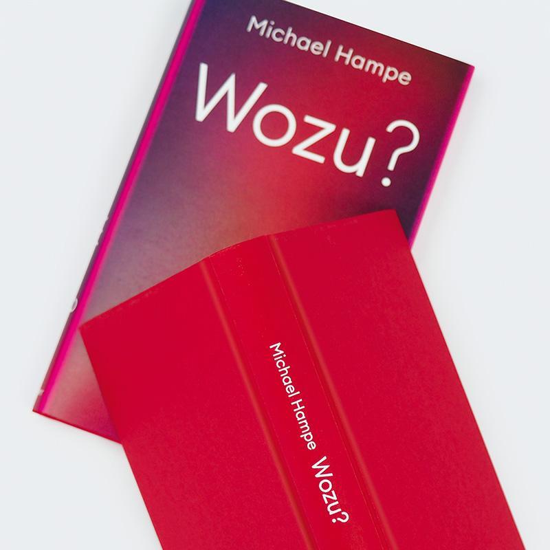 Bild: 9783446279162 | Wozu? | Eine Philosophie der Zwecklosigkeit | Michael Hampe | Buch