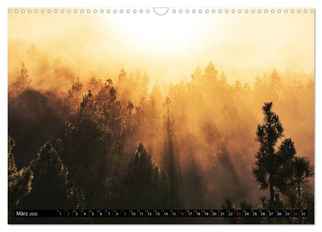 Bild: 9783435479948 | Teneriffa - Insel der Vielfalt (Wandkalender 2025 DIN A3 quer),...