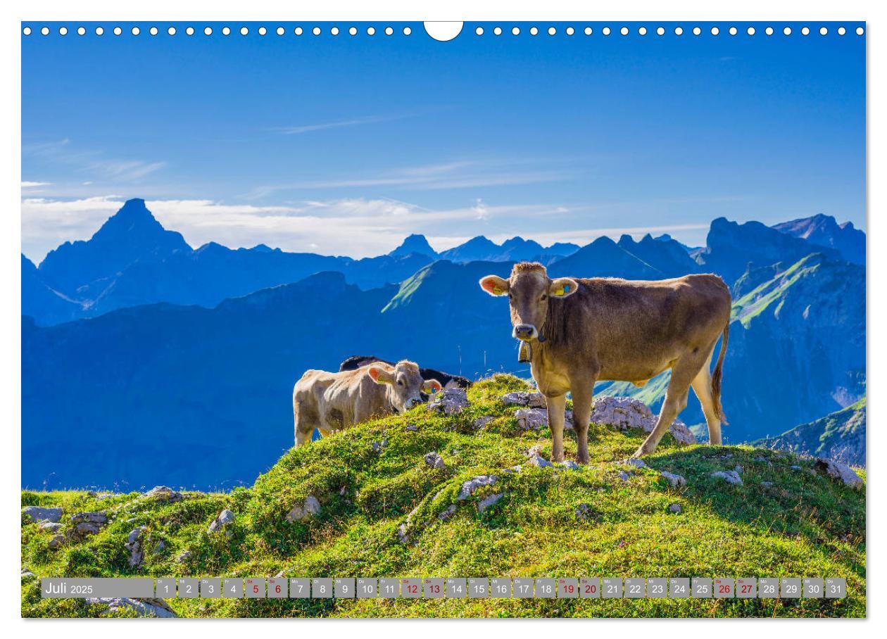 Bild: 9783435399352 | Allgäu-Idylle (Wandkalender 2025 DIN A3 quer), CALVENDO Monatskalender