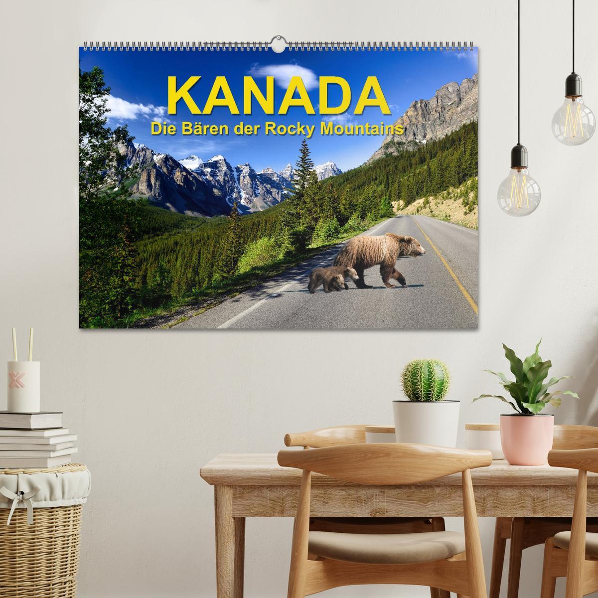 Bild: 9783383887390 | KANADA - Die Bären der Rocky Mountains (Wandkalender 2025 DIN A2...