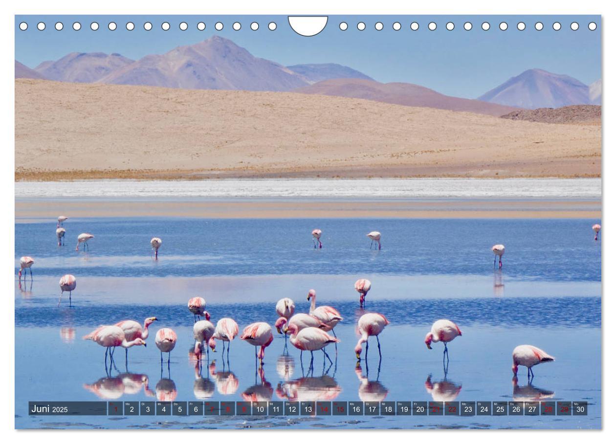 Bild: 9783435341030 | Peru Bolivien Chile (Wandkalender 2025 DIN A4 quer), CALVENDO...