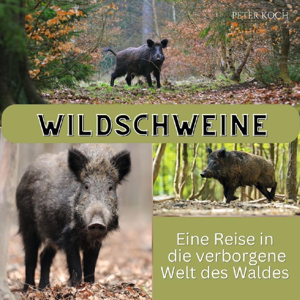 Cover: 9783750563643 | Wildschweine | Eine Reise in die verborgene Welt des Waldes | Koch