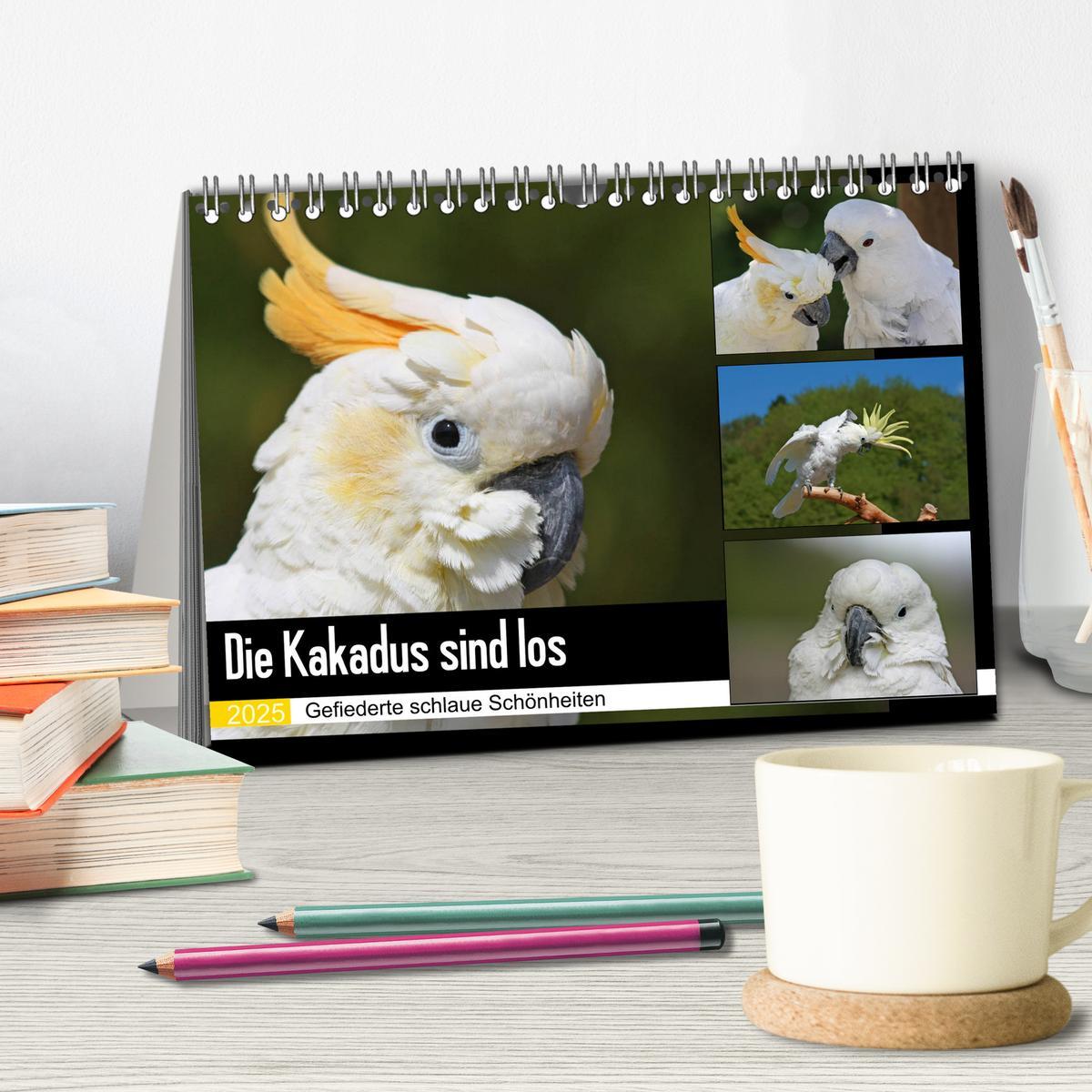 Bild: 9783435401017 | Die Kakadus sind los (Tischkalender 2025 DIN A5 quer), CALVENDO...