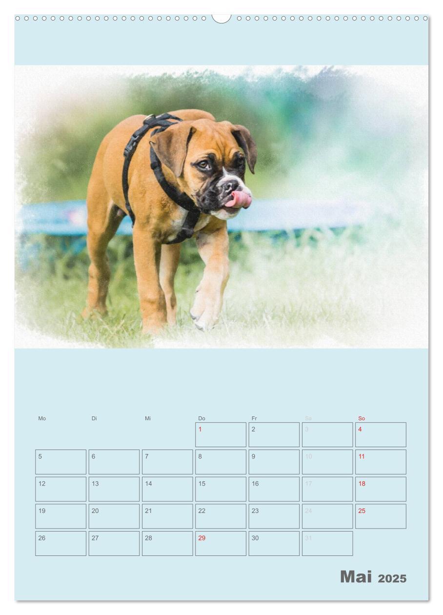 Bild: 9783457055656 | Hunde in Aquarell - Jahresplaner (Wandkalender 2025 DIN A2 hoch),...