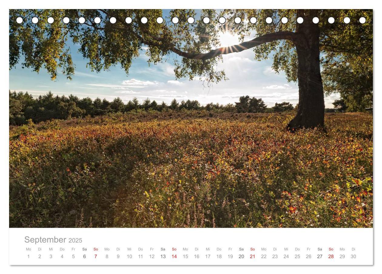 Bild: 9783435619450 | Lichtreise durch Schleswig-Holstein (Tischkalender 2025 DIN A5...