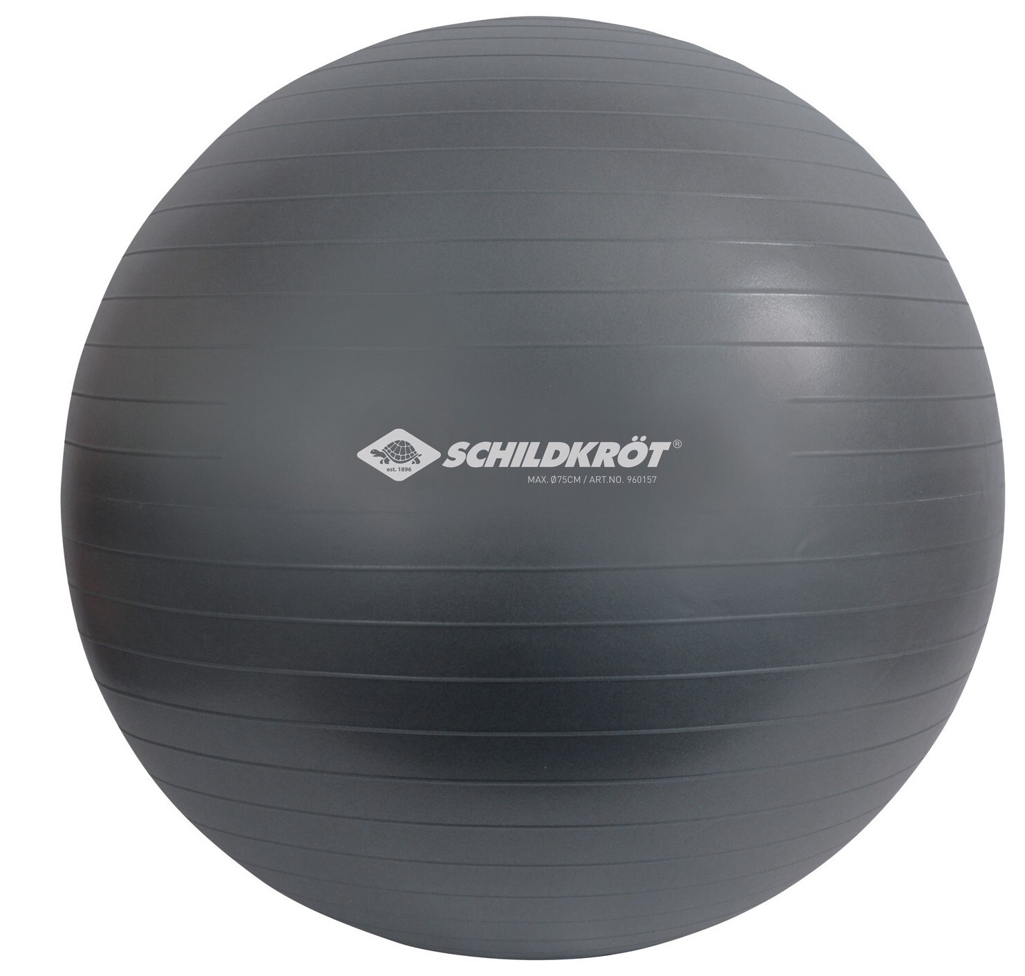 Cover: 4000885601572 | Schildkröt 960157 - Fitness, Gymnastikball inklusive Luftpumpe, 75 cm