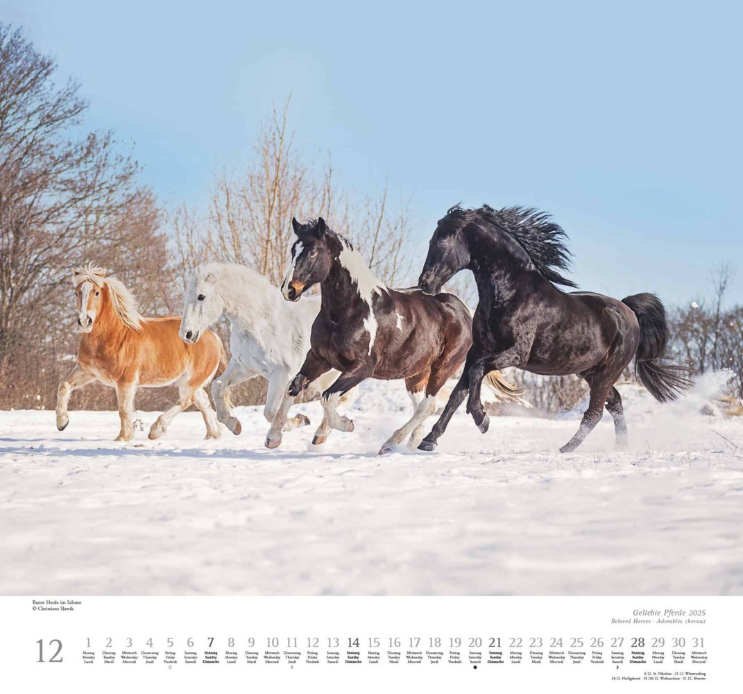 Bild: 4250809653891 | DUMONT - Geliebte Pferde 2025 Wandkalender, 38x35,5cm,...