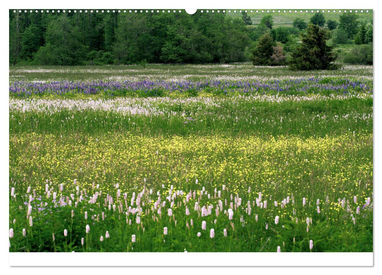 Bild: 9783435499069 | Naturerlebnis im Biosphärenreservat Rhön (Wandkalender 2025 DIN A2...