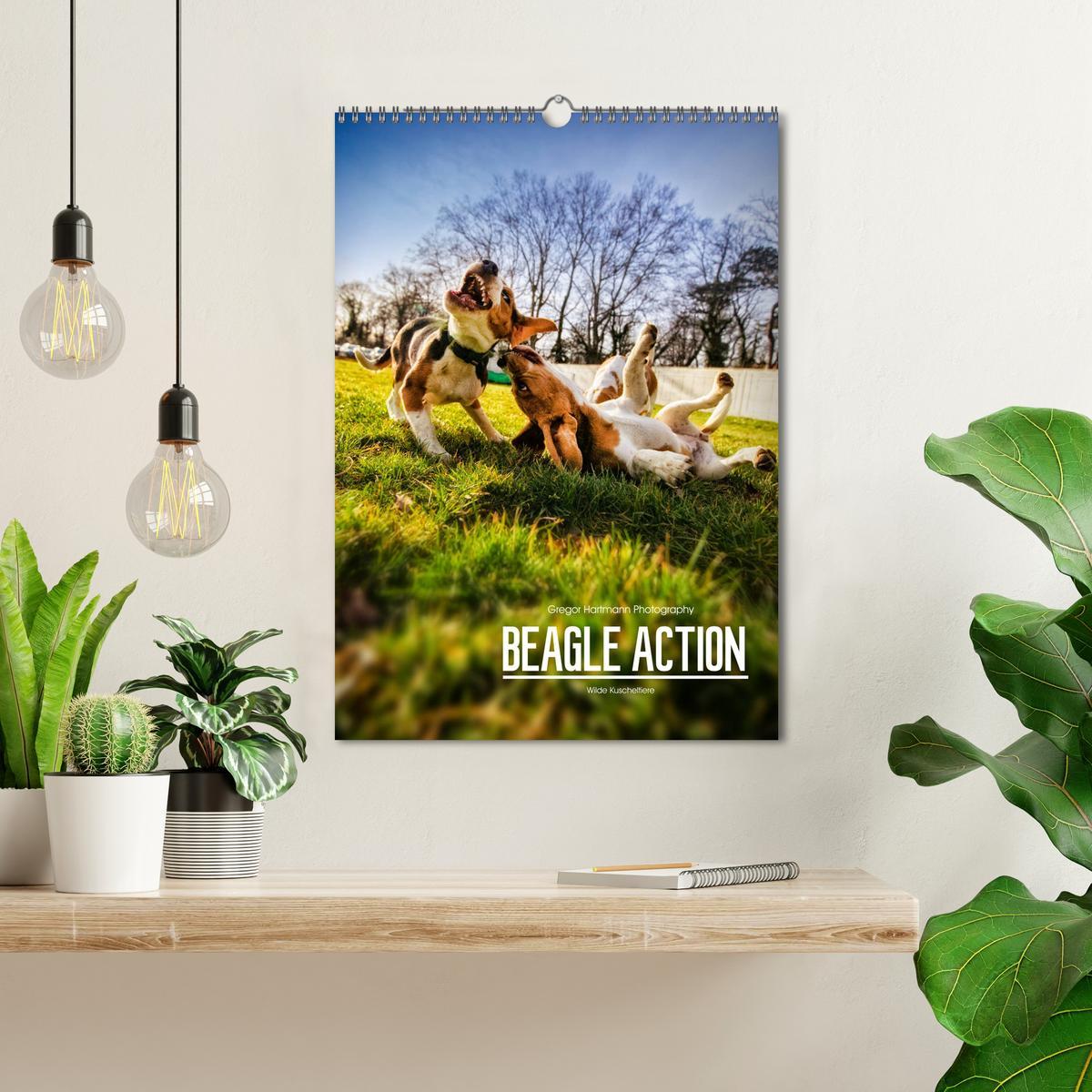 Bild: 9783435994915 | Beagle Action - Wilde Kuscheltiere (Wandkalender 2025 DIN A3 hoch),...