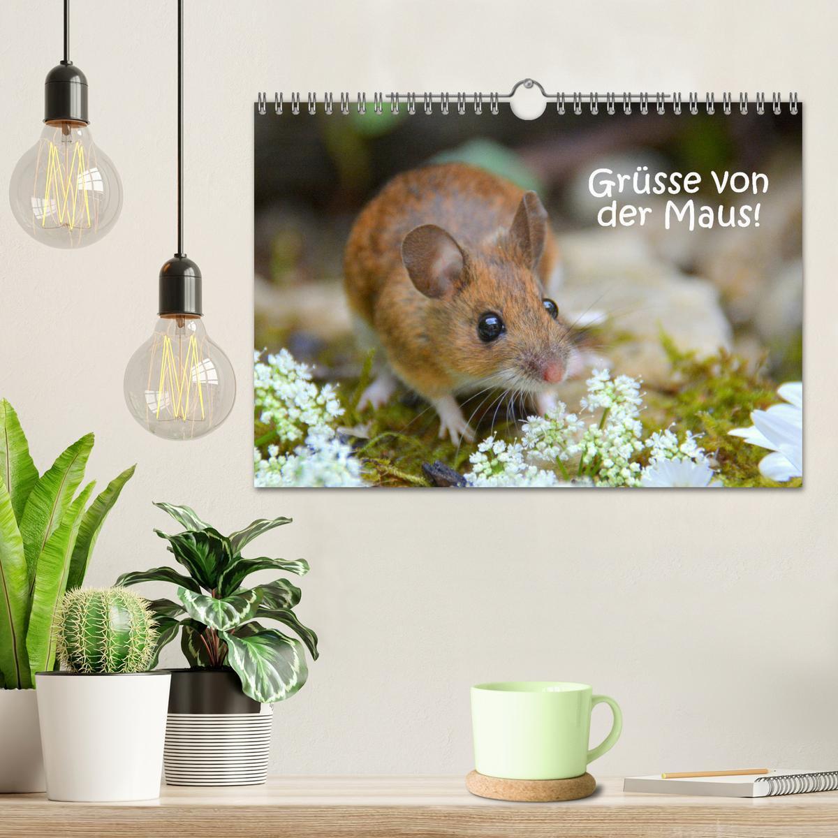 Bild: 9783435442867 | Grüsse von der Maus! (Wandkalender 2025 DIN A4 quer), CALVENDO...