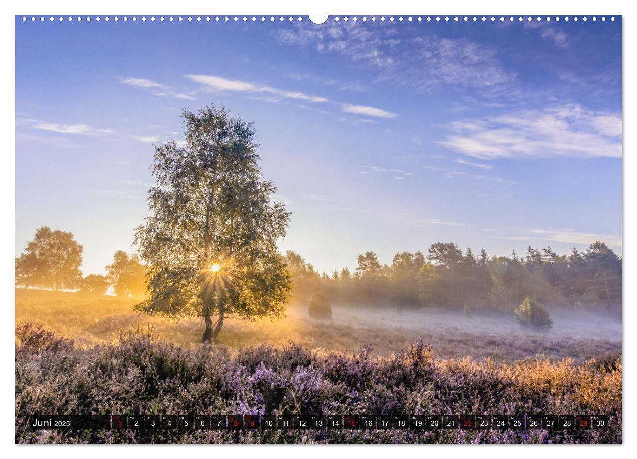 Bild: 9783383954740 | Die Lüneburger Heide - Faszination einer Naturlandschaft...