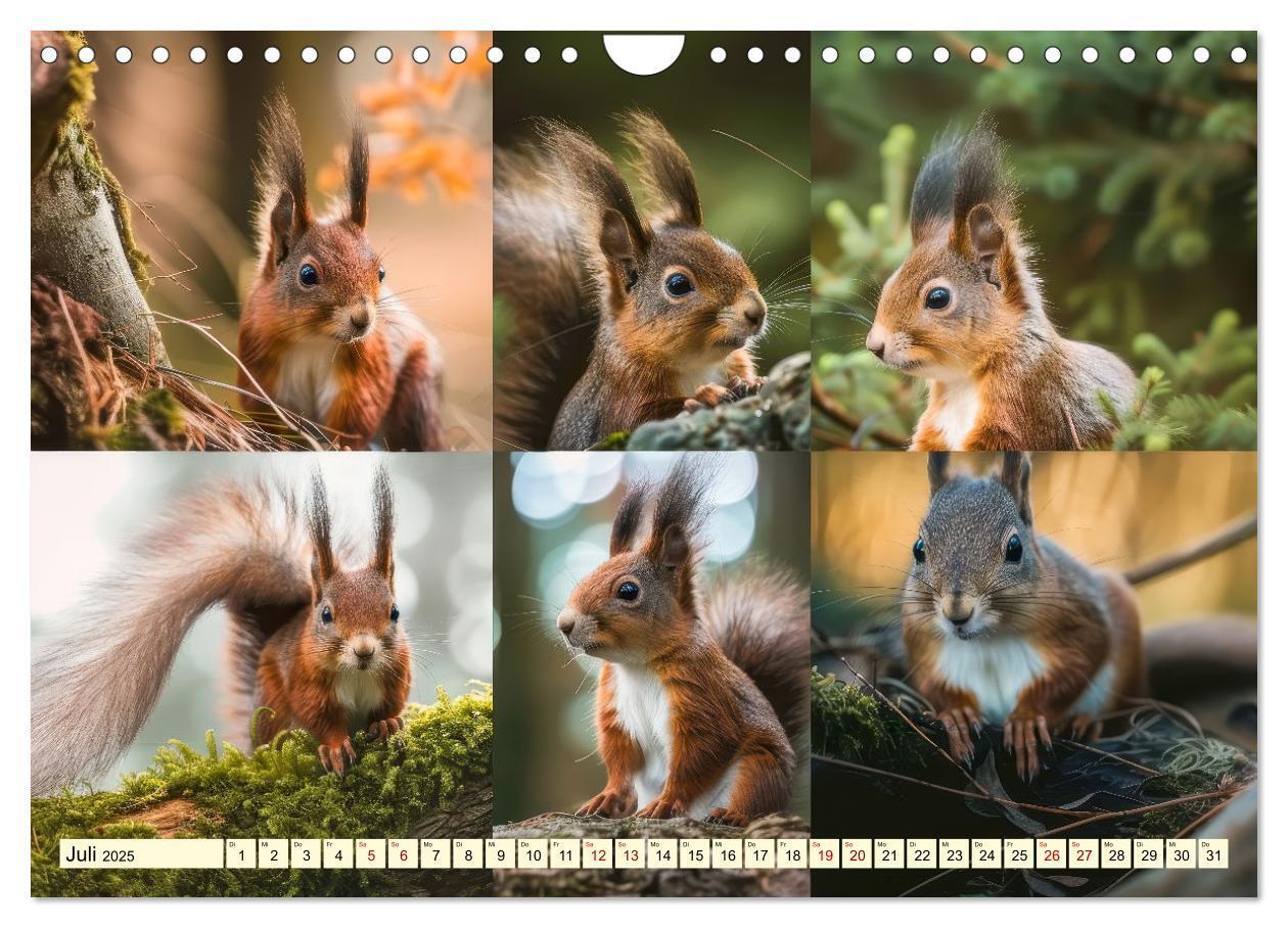 Bild: 9783383801822 | Eichhörnchen - tollkühne Kletterer (Wandkalender 2025 DIN A4 quer),...