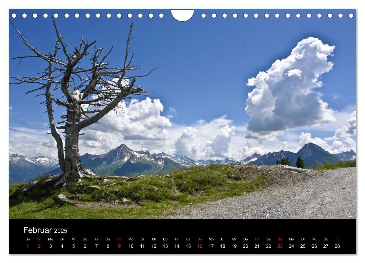 Bild: 9783435812363 | Baum-Variationen (Wandkalender 2025 DIN A4 quer), CALVENDO...