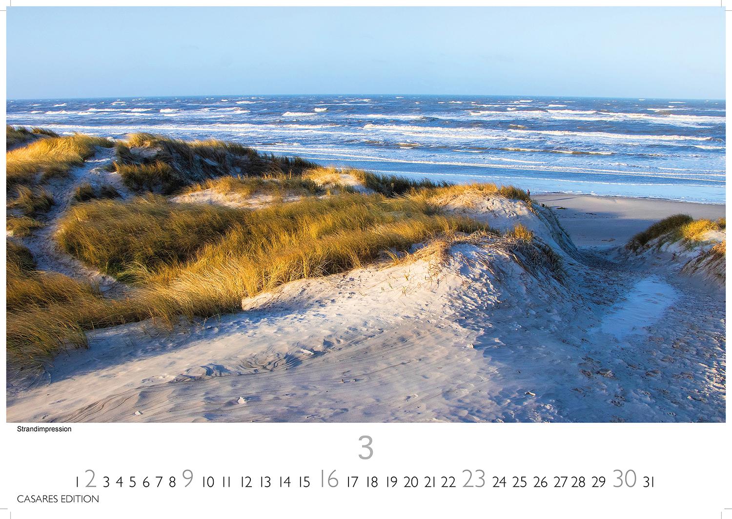 Bild: 9781835242933 | Nordseeküste 2025 S 24x35cm | Kalender | 14 S. | Deutsch | 2025