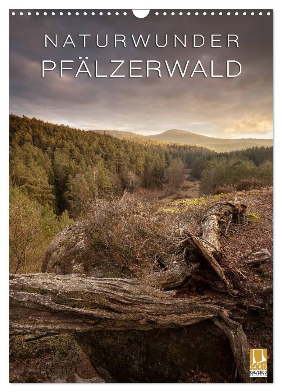 Cover: 9783457039168 | NATURWUNDER PFÄLZERWALD (Wandkalender 2025 DIN A3 hoch), CALVENDO...