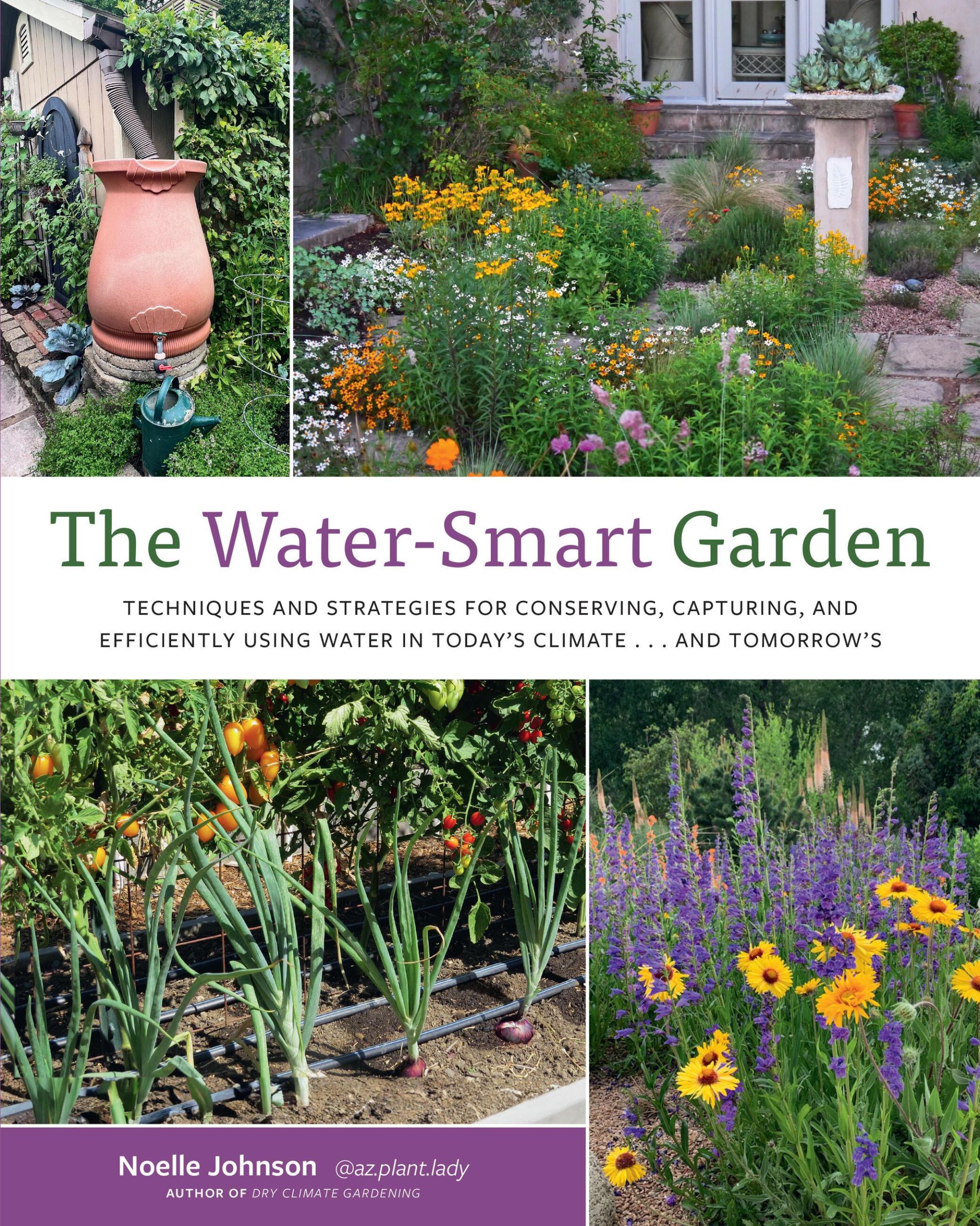 Cover: 9780760388242 | The Water-Smart Garden | Noelle Johnson | Taschenbuch | Englisch