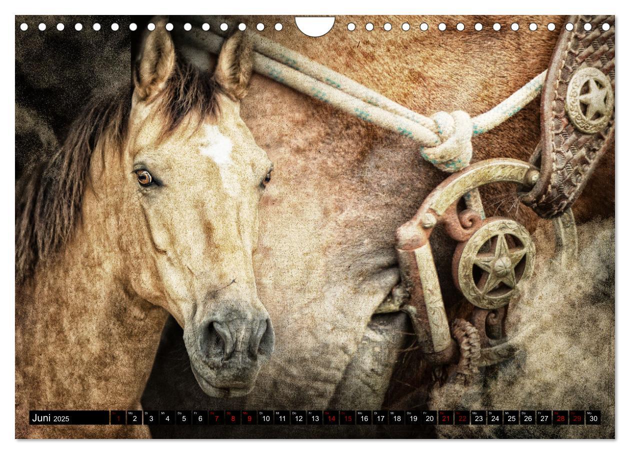 Bild: 9783435088409 | Magie Wilder Westen (Wandkalender 2025 DIN A4 quer), CALVENDO...